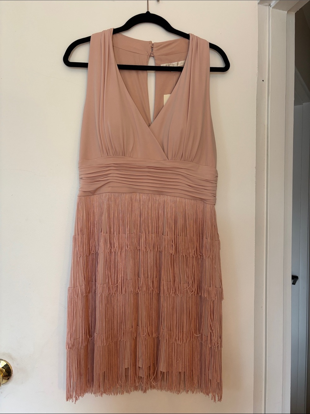 Boston Proper Blush Pink Fringe V-Neck Mini Dress
